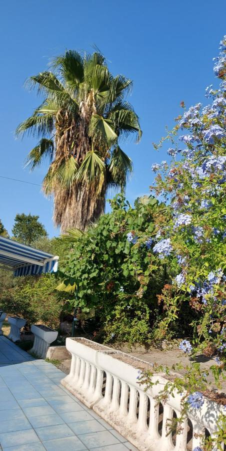 La Marina Gardens Beach Scauri  Εξωτερικό φωτογραφία